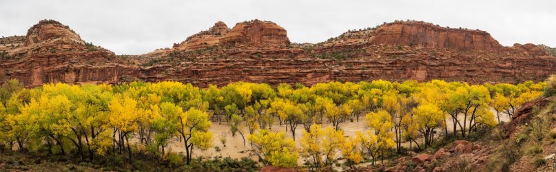 _A225701-Pano_Original.jpeg
