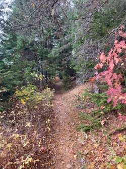 IMG_1069.jpeg