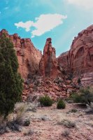 Capital Reef- Chimney Rock-Spring Canyon 021.jpg