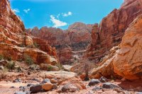 Capital Reef- Chimney Rock-Spring Canyon 035.jpg