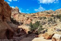 Capital Reef- Chimney Rock-Spring Canyon 041.jpg