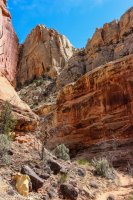 Capital Reef- Chimney Rock-Spring Canyon 042.jpg
