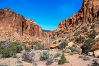 Capital Reef- Chimney Rock-Spring Canyon 051.jpg