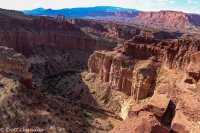 Capital Reef- Chimney Rock-Spring Canyon 063.jpg