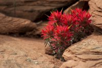 IMG_3423.jpg IMG_3423.jpg