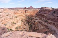 DSC03006.jpg DSC03006.jpg