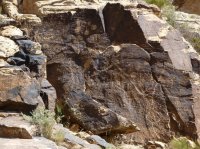 P1050891.JPG P1050891.JPG