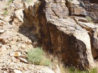 P1050895.JPG P1050895.JPG