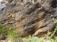 P1050923.JPG P1050923.JPG