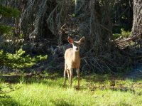 P1060171.JPG P1060171.JPG