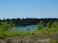 P1060271.JPG P1060271.JPG