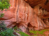 P1060418.JPG P1060418.JPG