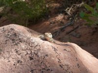 P1060464.JPG P1060464.JPG