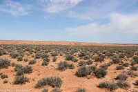 Moonshine Wash 003.jpg