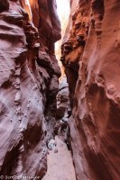 Moonshine Wash 026.jpg