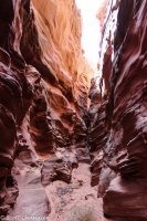 Moonshine Wash 034.jpg