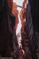 Moonshine Wash 036.jpg