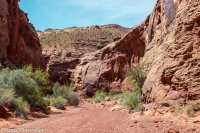 Moonshine Wash 043.jpg