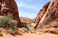 Moonshine Wash 044.jpg