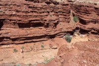 Moonshine Wash 049.jpg