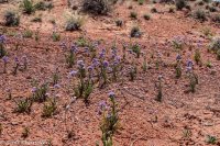 Moonshine Wash 051.jpg