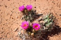 Moonshine Wash 057.jpg