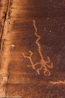 San Rafael Gorge 007.jpg