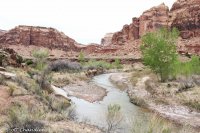 San Rafael Gorge 060.jpg