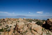 IMG_1494.jpg IMG_1494.jpg