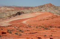 ValleyofFire 5.3.14 006.jpg