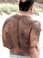 hairy+back.jpg hairy+back.jpg