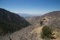 IMG_1429.jpg IMG_1429.jpg