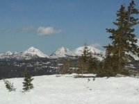 1400603569488.jpg 1400603569488.jpg