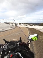 wolf (1).jpg wolf (1).jpg