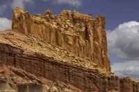 _CRNP - Diel CNTR 01 s.jpg