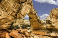 _CRNP - Diel CNTR 03 s.jpg