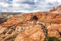 _CRNP - Diel CNTR 04 s.jpg