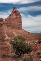 _CRNP - Diel CR 00 s.jpg