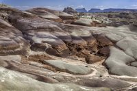 _CRNP - Diel CV 00a s.jpg