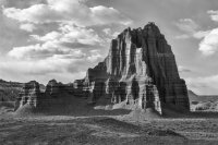 _CRNP - Diel CV 04 s.jpg