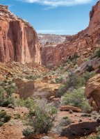 _CRNP - Diel FR 01 s.jpg