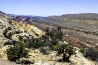 _CRNP - Diel R 00 s.jpg