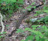 DSC03098.jpg DSC03098.jpg