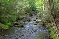 DSC03106.jpg DSC03106.jpg