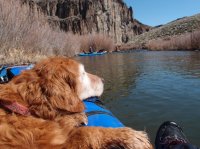 P3230119.JPG P3230119.JPG