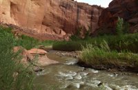 P1060124.jpg P1060124.jpg