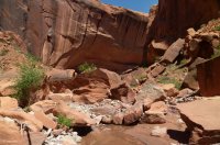 P1060172.jpg P1060172.jpg