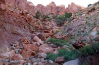 P1060209.jpg P1060209.jpg