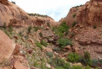 P1060350.jpg P1060350.jpg