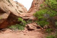 P1060358.jpg P1060358.jpg